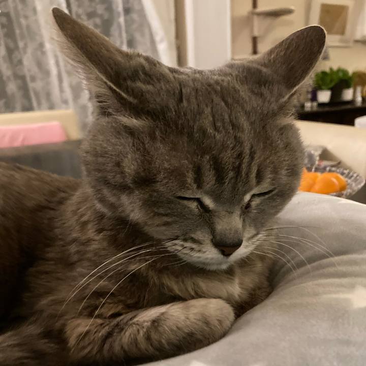 D45157f8 bd61 41de 92d6 9dc8487d5763 1642769004771