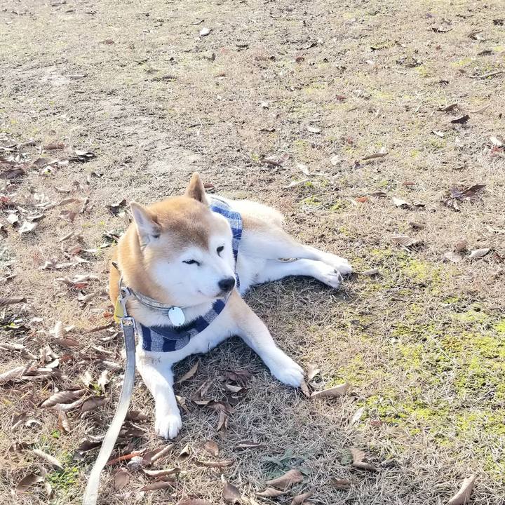 D4516d69 4d76 4029 9f96 be6219c871f6 1638332983379