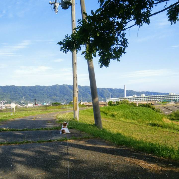 D4517644 3fdd 4808 b3c5 c1fc87a7a007 1559388868703