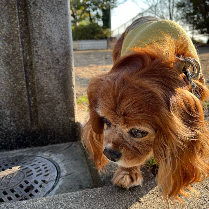 D45182e8 3ae8 4c47 85c5 eaa532acd429 1770943628538