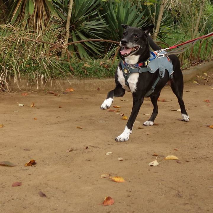 D4521eac 9bee 4b9c 8e9b 7736cff1d076 1729123635348