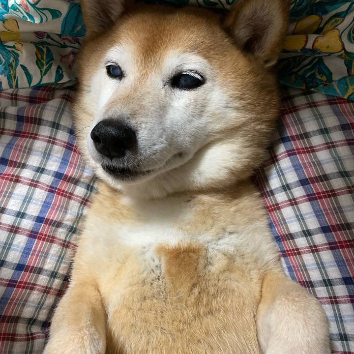 D452a1bd 968c 438e b327 de86eed973ca 1717681205117