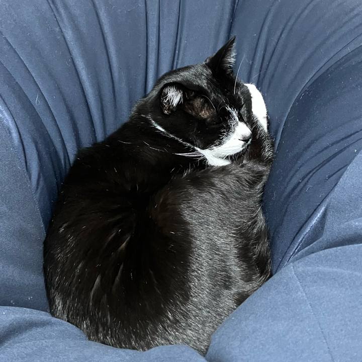 D452c18b 259f 4baa 8fc2 983611fa3521 1703561854386