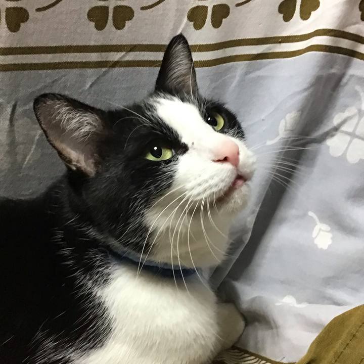 D452d12a 7783 431a a1c2 d0a99056fcb8 1733562000671