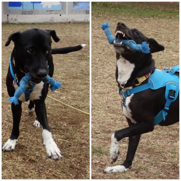 D452e40e 27c8 4a5b 8e79 8c6153580b9e 1614299956148