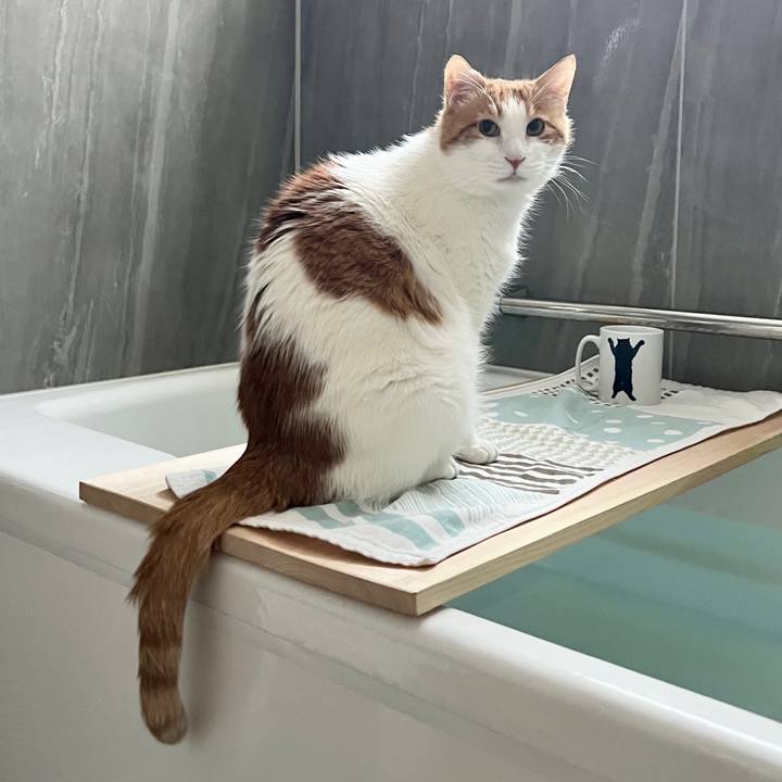 D452ebb5 0419 4488 aaf0 69edd40fdf75 1767833355187