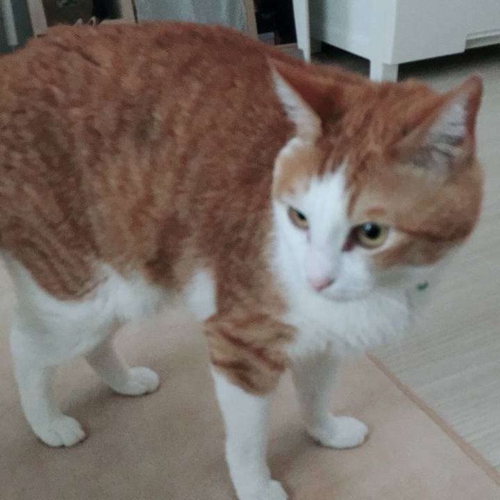 D45324b4 f4a8 4172 80de 493437386bc0 1525775482765