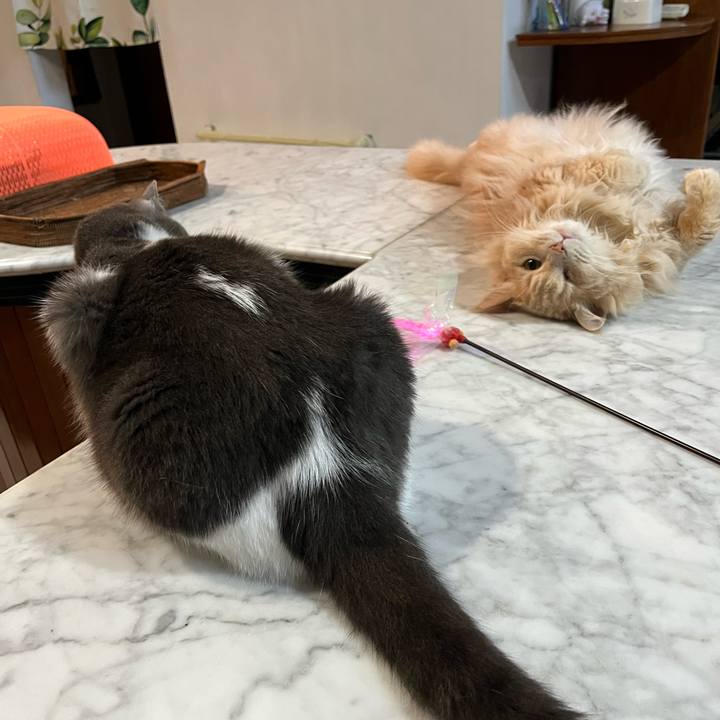 D4533cb2 1167 4497 9346 bb41287c88fc 1768557247417