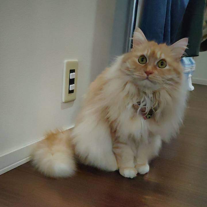 D45347f0 3ff5 4e06 870c d469025ce8b4 1715063040270