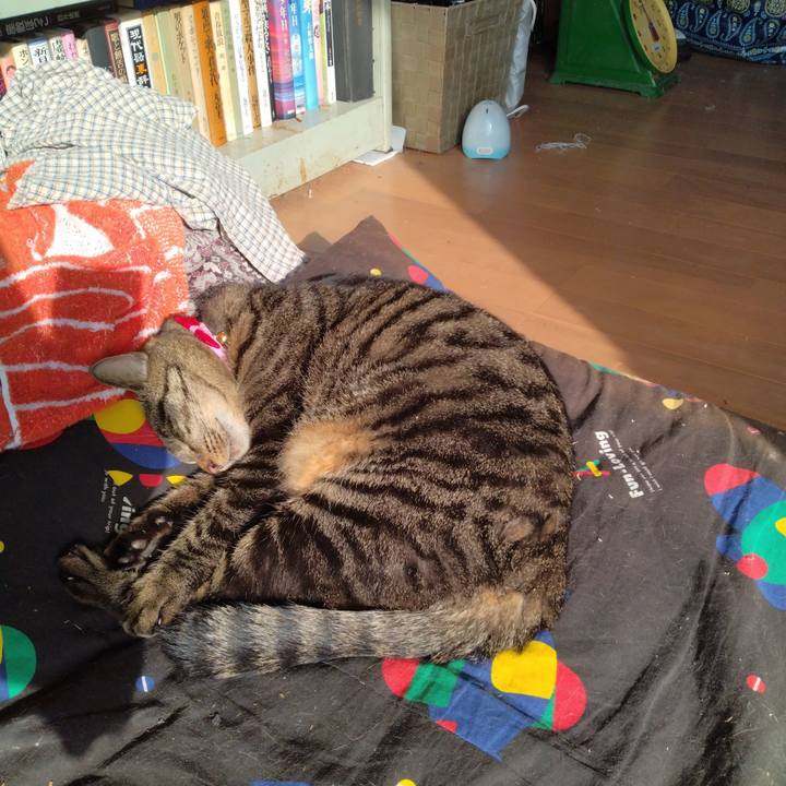 D4537bef 5256 4d64 b656 12d16df4994c 1664849439068