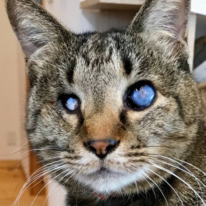 D45391f3 78cb 498d bf3d e04bf16cecb3 1550026275738