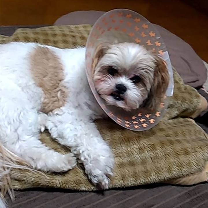 D453b623 dacd 4249 8162 22750b6ebc45 1592013276787