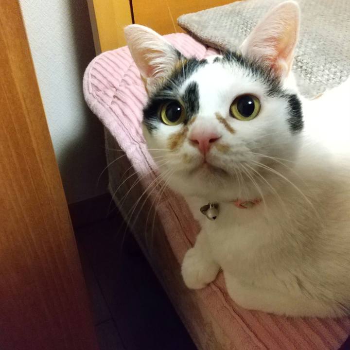 D453bec9 d176 4ea9 aab1 21c844dc3d81 1580308896508