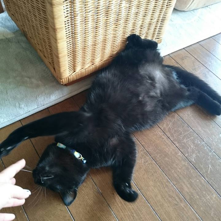 D453d32a 45b0 49da afd5 16a9eafe7ba4 1513502983380