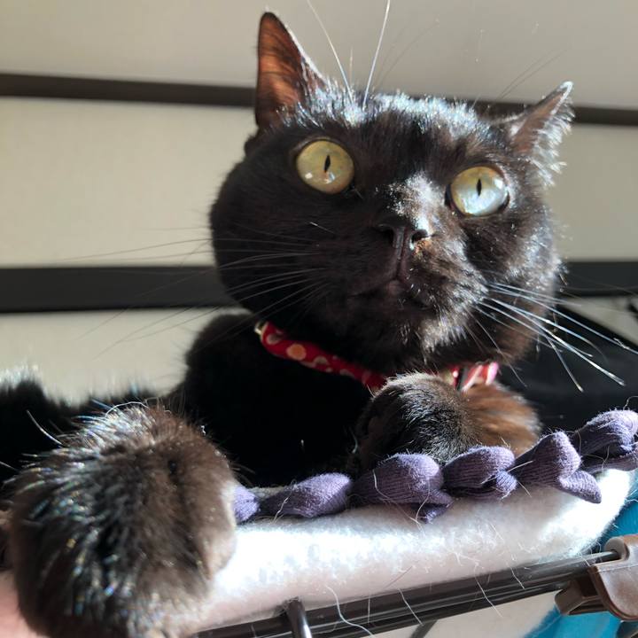 D453f8b4 6116 4015 ad00 062476effcc9 1615934279829