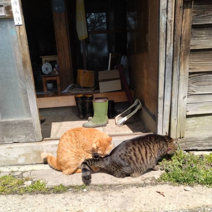 D4540a00 ce70 4d03 925d 9274ff26d33f 1679970758016