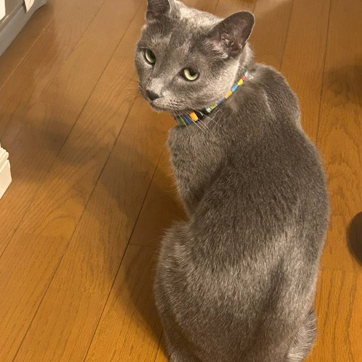 D4542161 a747 4b2d 80d1 0ed43bd8984e 1730805143136