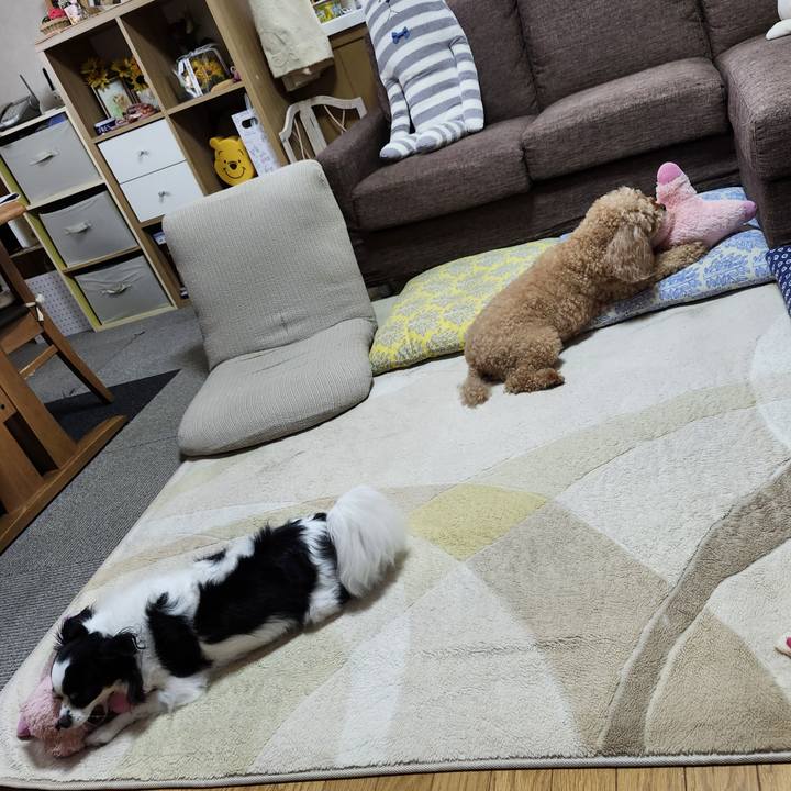 D45456f9 0efb 4324 a4d2 2db75bb01b0e 1760165802963