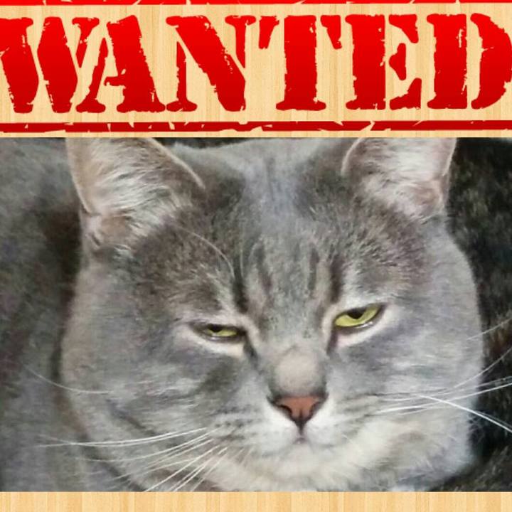 D4549bc1 a0ca 4dc3 9aa6 eb80858012c9 1549455644518