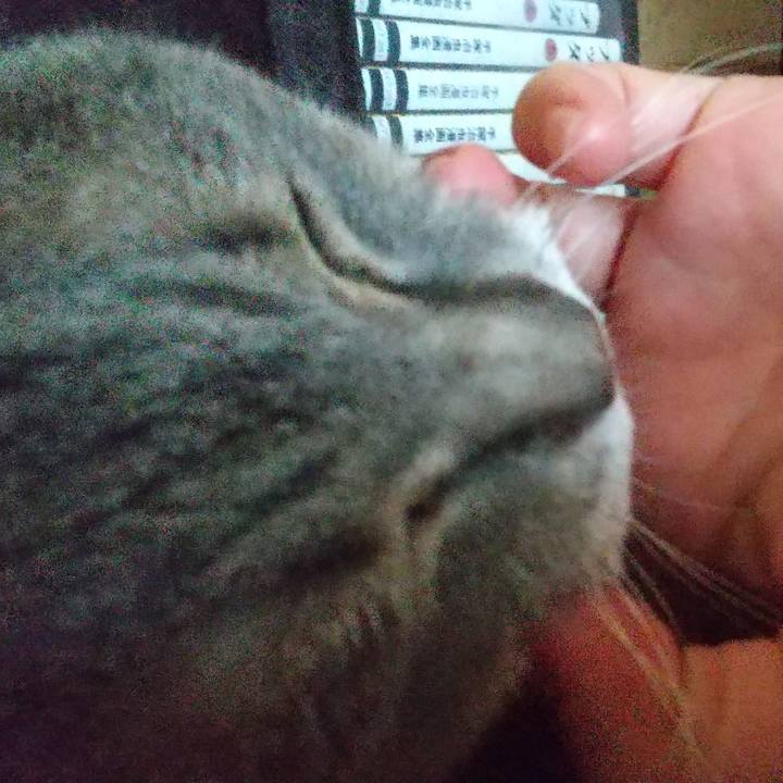 D454c5a2 9eca 4ca8 8f2f 63581b797fca 1656294046593