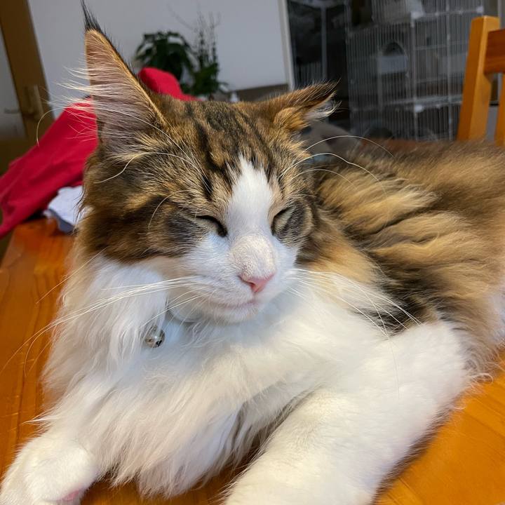 D454d3cc 5f9d 4e67 8555 ebb65e30df10 1641934585920