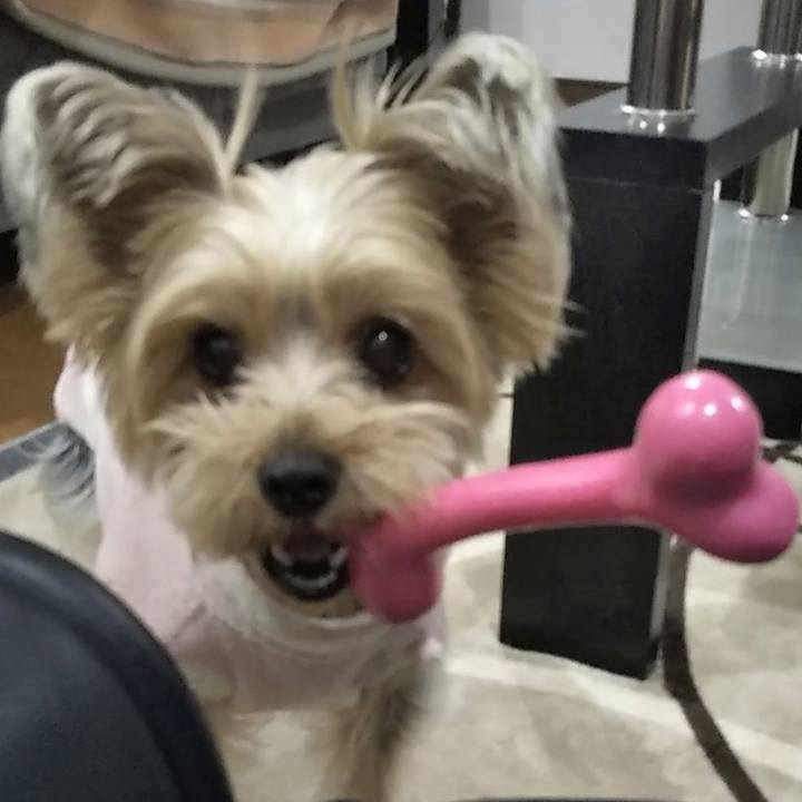 D454d6d6 8369 4bdf 9123 db21127e0042 1583387373031