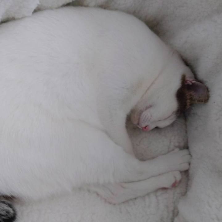 D454d84d 037a 4b5e 90f1 9f9c86fea5fe 1700912053043