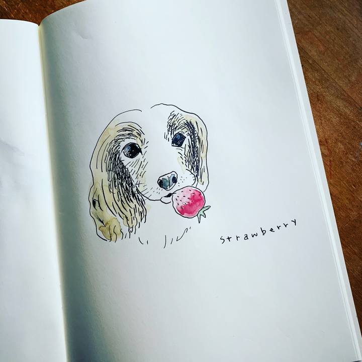 D454dcc9 cc3b 4653 b98a 5d333f5717ea 1572419082090