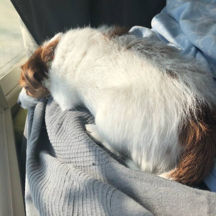 D454f130 88d0 4e85 b31b afb57b7251dc 1586473077058