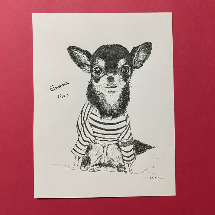 D45504ba 21c9 4e9b a8a6 5b22f2d38410 1645397823609