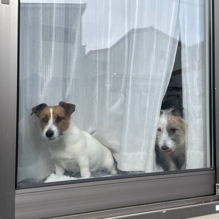 D455382b e3b9 42fb 805e 006802c65f83 1709346004402