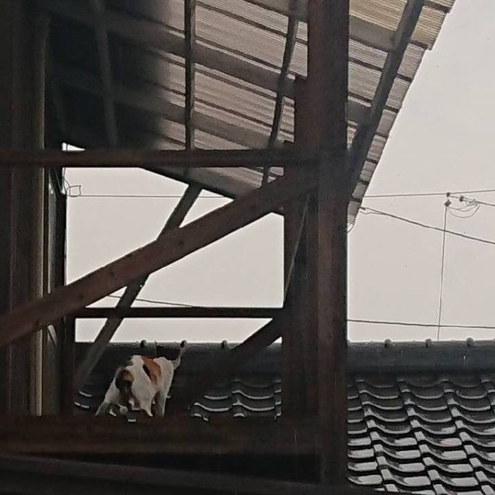 D455a20f 28c2 441f 8f1a 99c668fda088 1628415043288