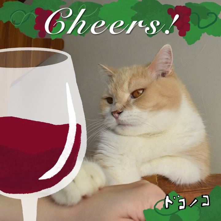 D455df11 14cb 4d0e b84e 44146662cd00 1761104369219