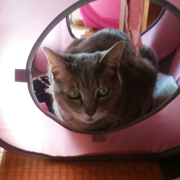 D455eaea 9b1e 4b3a 93a9 83b8ce1235b8 1577580810397