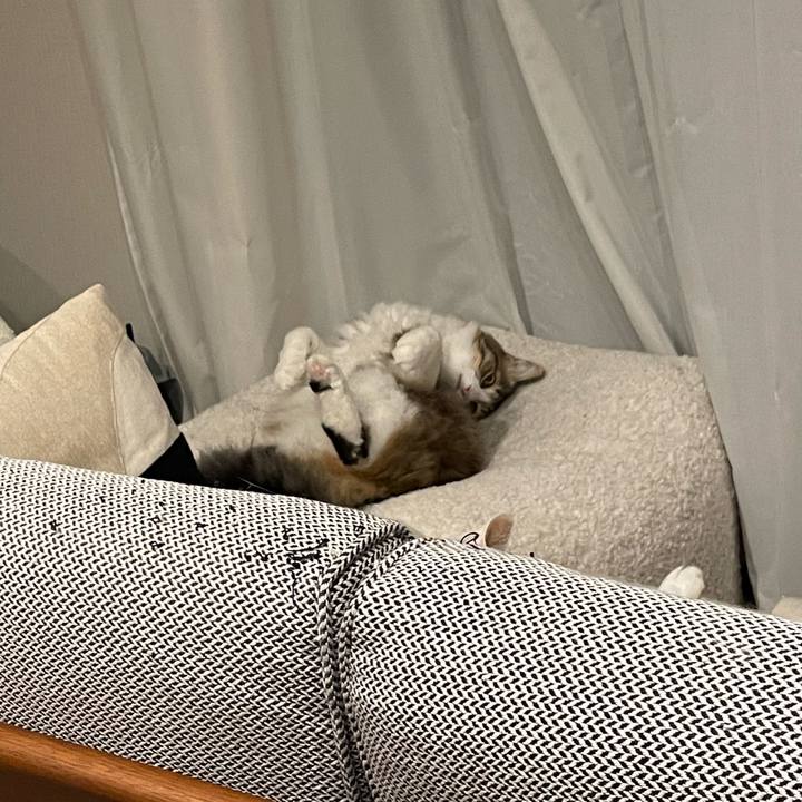 D455f4ff df49 4b61 8dd2 decdea5f6e5c 1771383289528