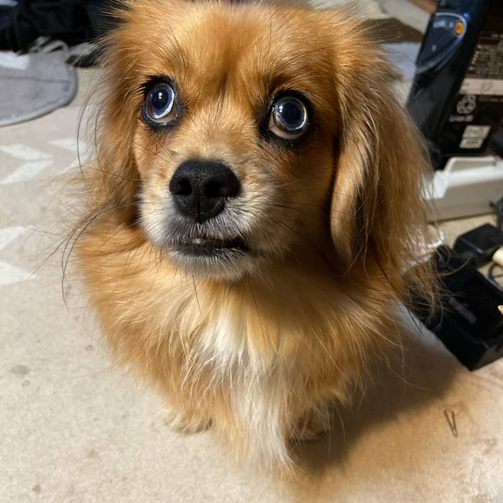 D456126a af7c 46e0 b90c f357c72d23a9 1573682854170