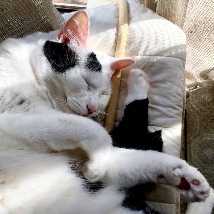 D456247e 0925 4586 9594 43d94784ca18 1560480369616