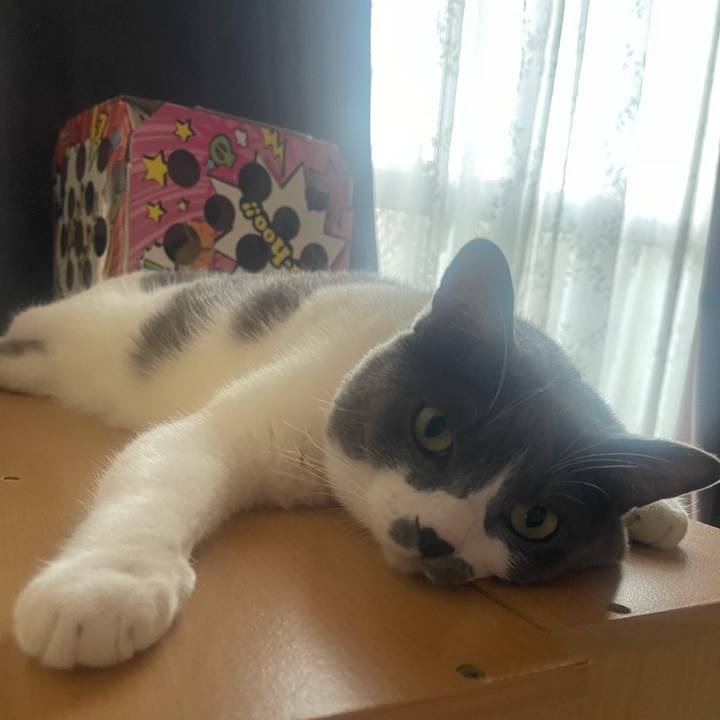 D4565964 e23f 41e7 bac2 ee4165e7ddb5 1726733500338