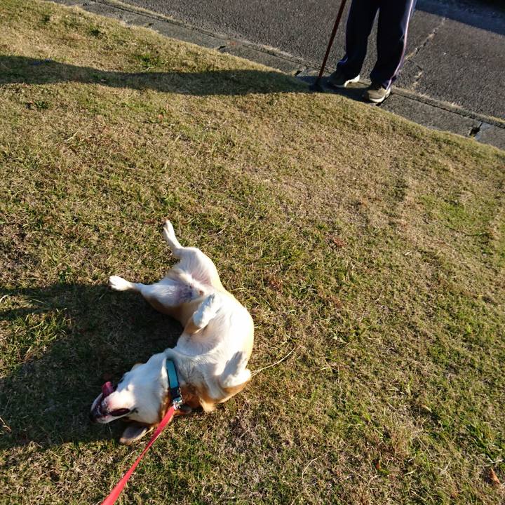 D4565f31 9f8c 4f5b 90b2 ba71e6d11d74 1605425127458