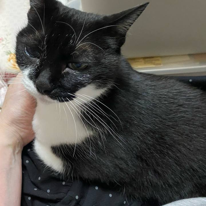 D4569f6c 5376 4418 9246 6f29bedbec38 1718979911142