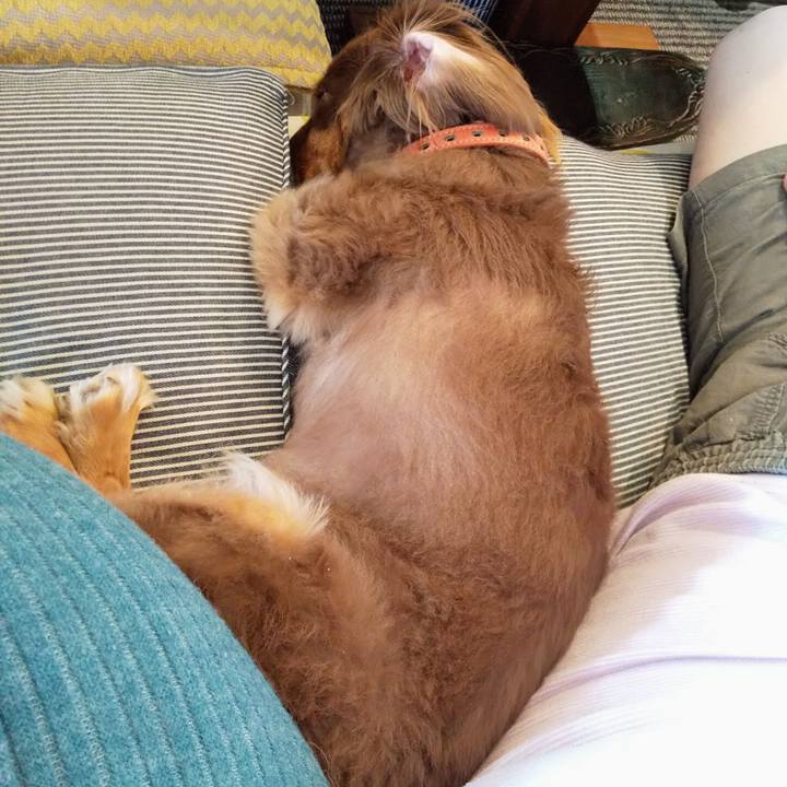 D456a7c5 c2a3 4517 bacd 14c946952f93 1600671508756