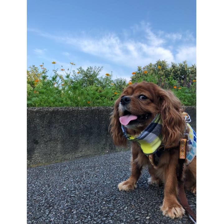 D456fd80 2713 46cd be84 630b61efc616 1627770478224