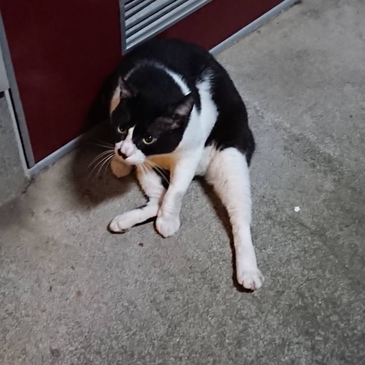 D4574743 7ff0 437d 8f22 d6e655d3dd05 1536843761705