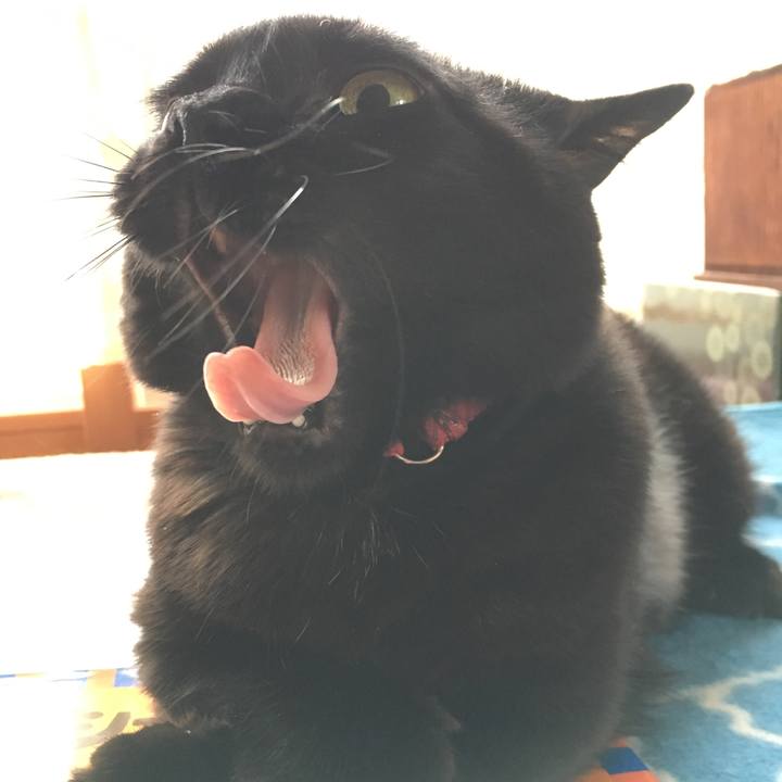 D45788b1 8cef 4a9c a584 76b29e5f0e44 1547962593462