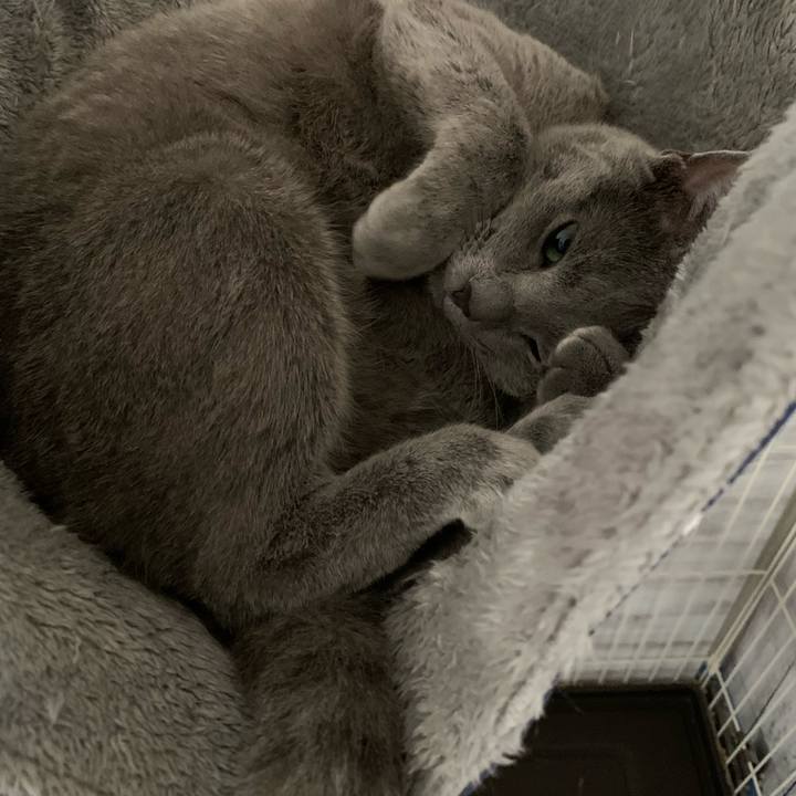 D4578f78 6c7f 4e80 b034 ea2832850c27 1588058957701