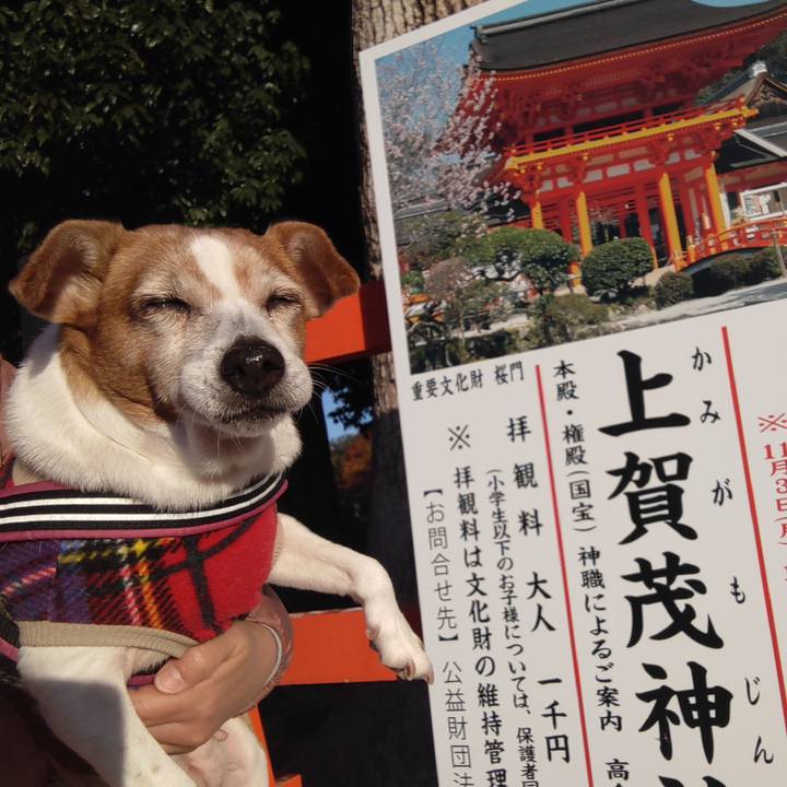 D457adf0 ef9a 4e60 ad7f 0bd10ce48dbc 1763768567399