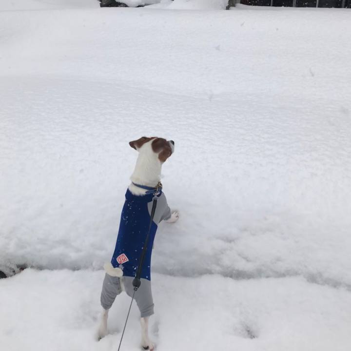 D457b303 9ecb 48d1 94b0 17498dd2ba1c 1547961880917