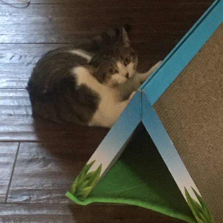 D457bbd0 e046 4787 8682 6893feaf580e 1659572878982