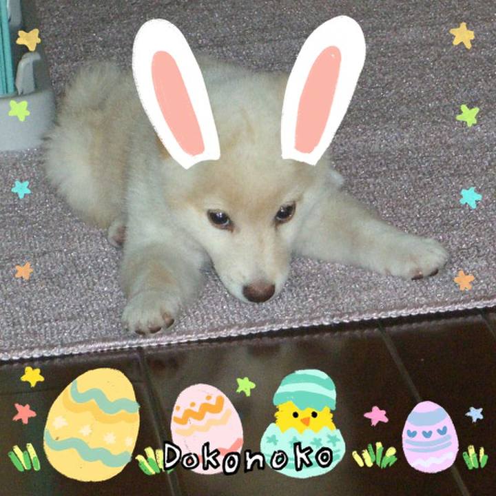 D457c17f 38d2 4788 9698 22a5877cba8d 1712247946235