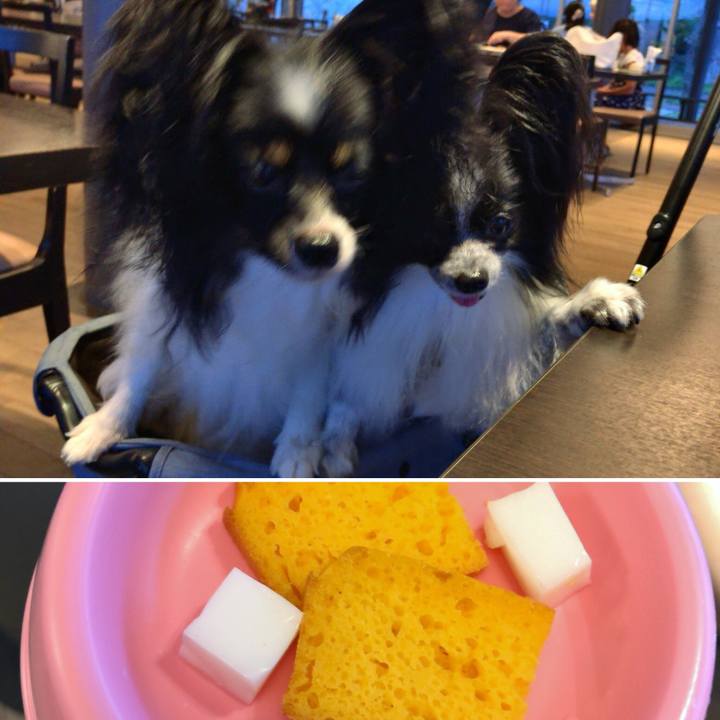 D457c629 c3c6 42cc 8f0f 55723ac659a6 1534413953928